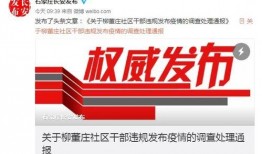 石家庄桃园最新爆料消息,揭秘项目进展与未来规划